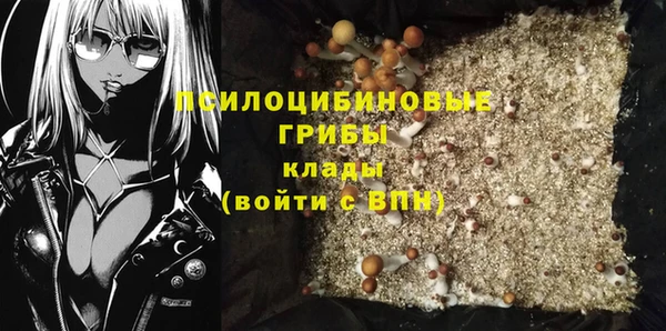 гашик Аркадак