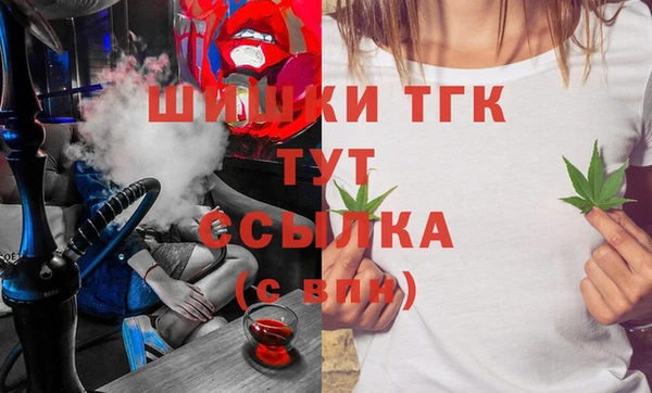 гашик Аркадак