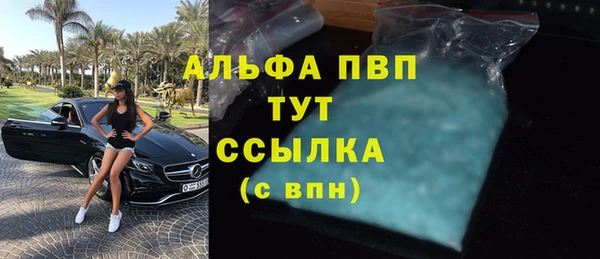 гашик Аркадак